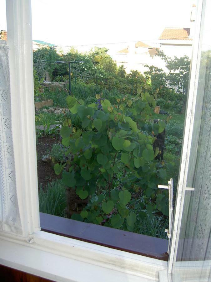 Apartman Thea Apartman Abbázia Kültér fotó